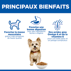 HILL'S SCIENCE PLAN Aliment Sec Chien Small & Mini Adulte 3 Kg