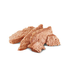 Royal Canin Aliment Humide Chien Spitz nain mousse 85 g