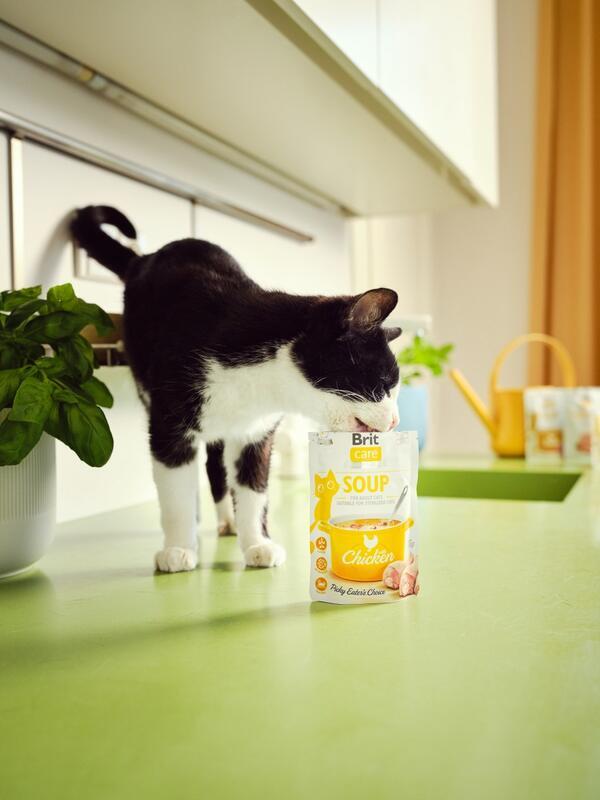 Brit Care Aliment Humide Chat Soupe au poulet pour chats 75 g