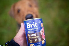 Brit Premium par Nature Aliment Humide Chien Lamb Buckwheat 400 g