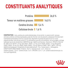 Royal Canin Aliment Sec Chien Spitz Nain Adult
