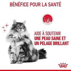 Royal Canin Hair & Skin Care Aliment Sec pour Chat 2 Kg