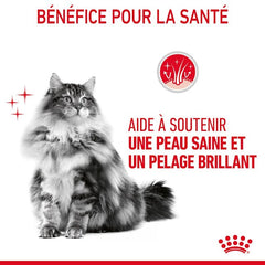 Royal Canin Aliment Humide Chat Hair & Skin Sauce 85G