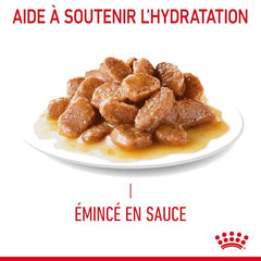 Royal Canin Aliment Humide Chat Hair & Skin Sauce 85G