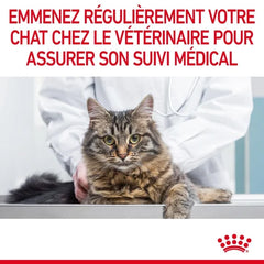 Royal Canin Aliment Humide Chat Hairball Care en sauce 85G