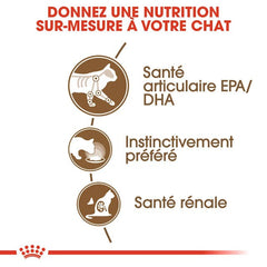 Royal Canin Aging 12+ in sauce 85 G