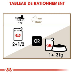 Royal Canin Aging 12+ in sauce 85 G