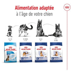 Royal Canin Aliment Sec Chien Maxi Adult