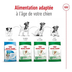 Royal Canin Aliment Sec Chien Mini Adult