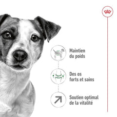 Royal Canin Aliment Sec Chien Mini Adult 8+ 2Kg