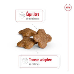 Royal Canin Aliment Sec Chien Mini Adult 8+ 2Kg