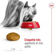 Royal Canin Aliment Sec Chien X-Small Adult