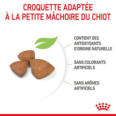 Royal Canin Aliment Sec Chien X-Small Puppy
