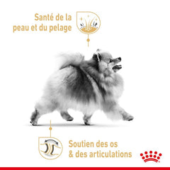 Royal Canin Aliment Humide Chien Spitz nain mousse 85 g