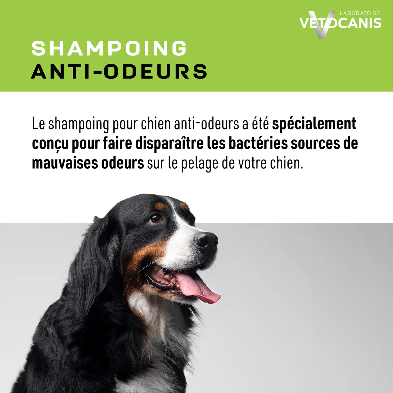Shampoing Professionnel Anti-Odeurs pour Chien. 300ml