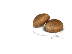 Royal Canin Aliment Sec Chien Maxi Adult