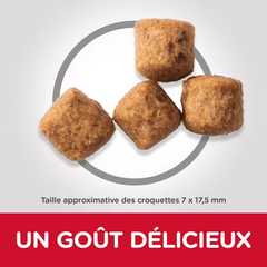 HILL'S SCIENCE PLAN Large Breed Perfect Weight Chicken 12 KG