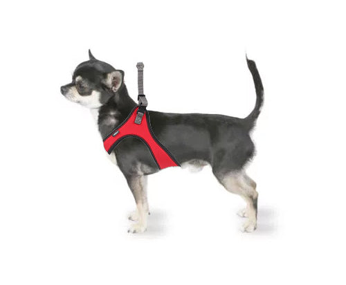 Spidy Harness for Medium and Small Dogs Red