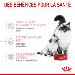 Royal Canin Mother & Babycat