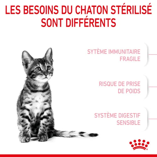 Royal Canin Aliment Sec pour Chat Kitten Sterilised 2 Kg