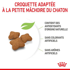Royal Canin Aliment Sec pour Chat Kitten Sterilised 2 Kg