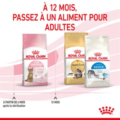 Royal Canin Aliment Sec pour Chat Kitten Sterilised 2 Kg