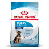 Royal Canin Aliment Sec Chien Maxi Puppy 15 Kg PROMO