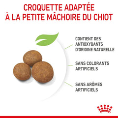 Royal Canin Giant Puppy for puppies 15 Kg