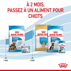 Royal Canin Maxi Starter Mother & Babydog