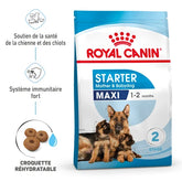 Royal Canin Maxi Starter Mother & Babydog