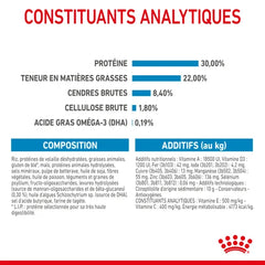 Royal Canin Maxi Starter Mother & Babydog