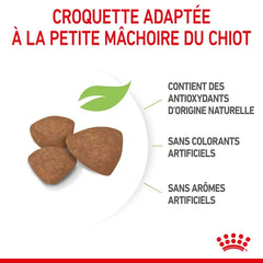 Royal Canin Aliment Sec Chien Mini Puppy