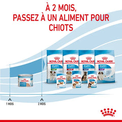 Royal Canin Starter Mother & Babydog Puppy Foam 195 G