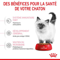 Royal Canin Aliment Sec pour Chat Kitten