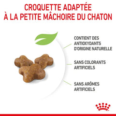 Royal Canin Aliment Sec pour Chat Kitten