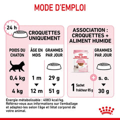 Royal Canin Aliment Sec pour Chat Kitten