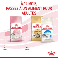 Royal Canin Aliment Sec pour Chat Kitten