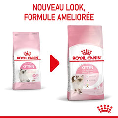 Royal Canin Aliment Sec pour Chat Kitten