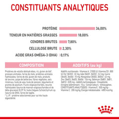 Royal Canin Aliment Sec pour Chat Kitten