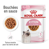 Royal Canin Aliment Humide Chat Kitten Sauce - Sachet fraîcheur pour chaton 85 G
