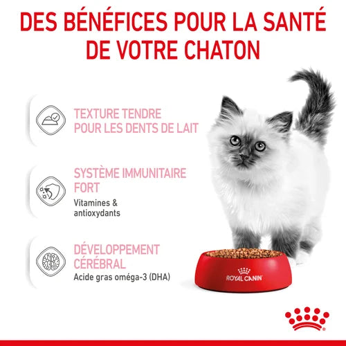 Royal Canin Kitten Sauce - Kitten freshness sachet 85 G