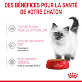 Royal Canin Aliment Humide Chat Kitten Sauce - Sachet fraîcheur pour chaton 85 G