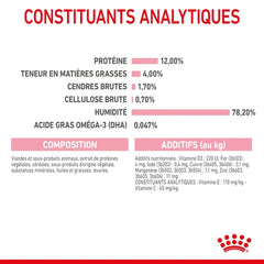 Royal Canin Kitten Sauce - Kitten freshness sachet 85 G