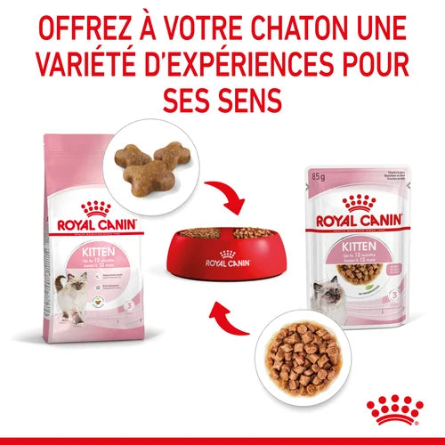 Royal Canin Kitten Sauce - Kitten freshness sachet 85 G