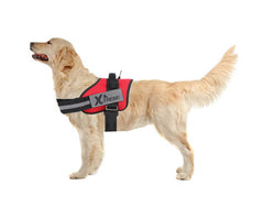 HARNAIS PREMIUM X-TREME PRO ROUGE