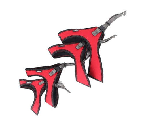 Spidy Harness for Medium and Small Dogs Red