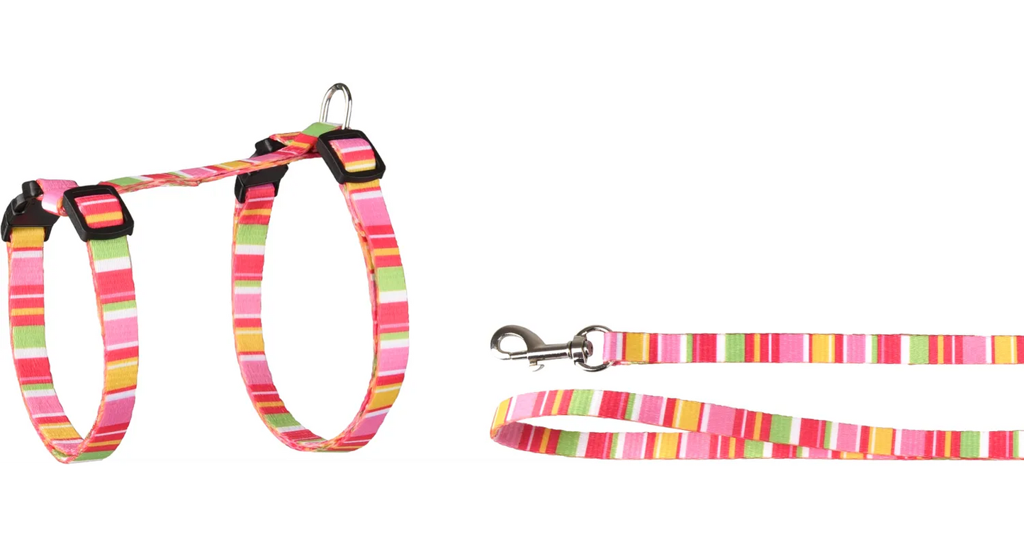 HARNESS WITH LEASH AMIRA SEVERAL COLORS