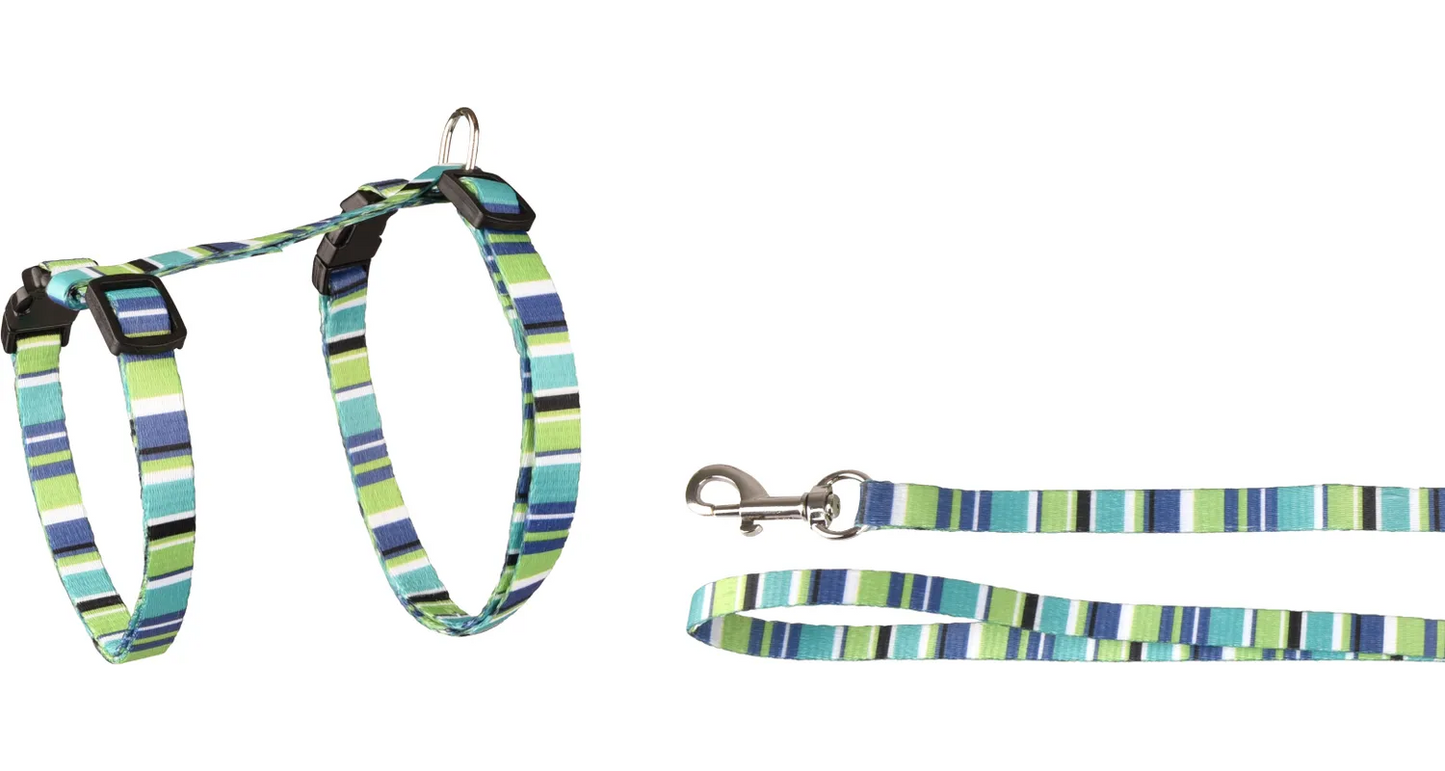 HARNESS WITH LEASH AMIRA SEVERAL COLORS