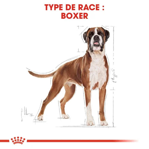 Royal Canin Boxer Adulte 12 Kg