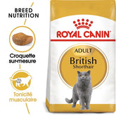 Royal Canin British Shorthair Adult 2 Kg